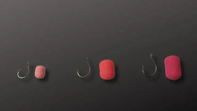 Haczyk nr 10: na jakie ryby? Sprawdź skuteczne przynęty i metody