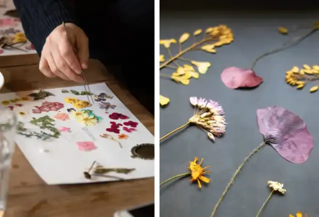 Jak suszyć kwiaty na płasko, by uniknąć zniszczenia kolorów