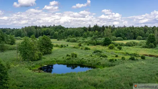 Atrakcje Podlasia: Odkryj nieznane skarby i piękno regionu