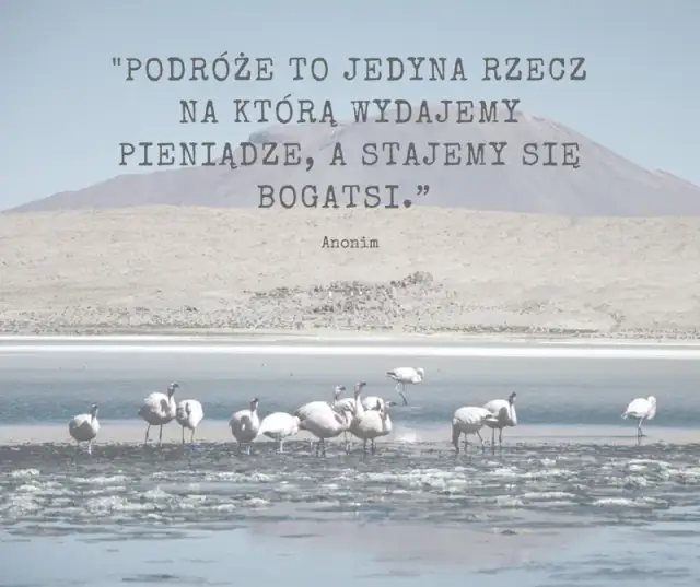 Poznaj najpiękniejsze krótkie cytaty o lecie i wakacyjnych chwilach