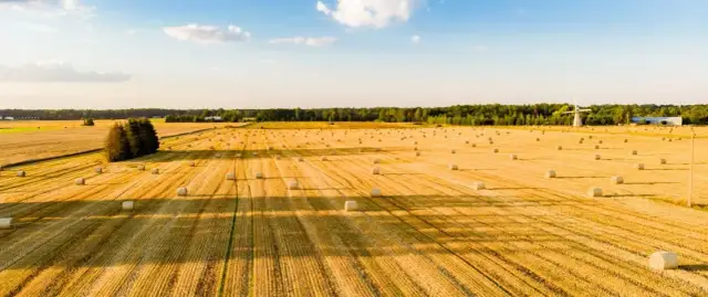 Gdzie wystawić działkę na sprzedaż, aby szybko znaleźć kupca?