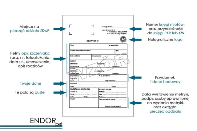 Metryka psa, gdzie wyrobić rodowód dla psa. Opis szczeniaka, dane hodowcy i pieczęcie.