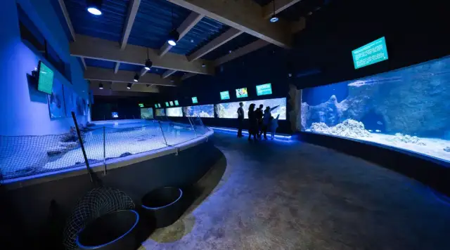 Oceanarium Opole - odkryj niesamowity świat morskich stworzeń