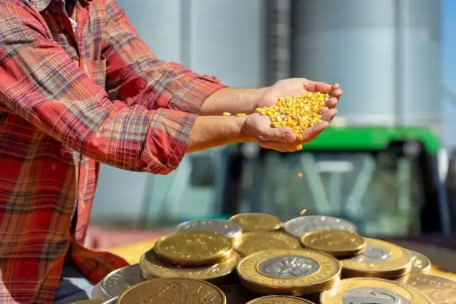 Kiedy pieniądze za zboże? Sprawdź terminy wypłat i uniknij opóźnień