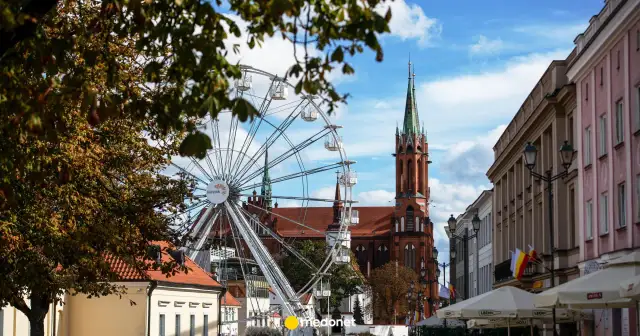Ile lat żyje koń? Poznaj fakty i sekrety długowieczności