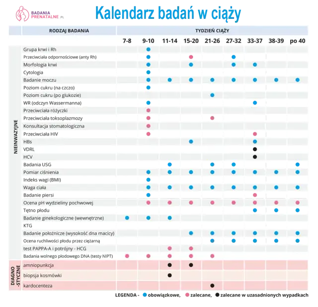 Badania krwi w ciąży: Kiedy i dlaczego są kluczowe?