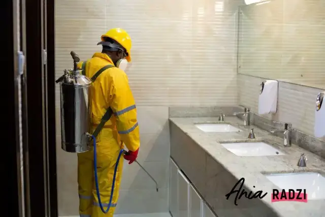 Jak wygląda dezynsekcja w bloku? Skuteczne metody i porady dla mieszkańców