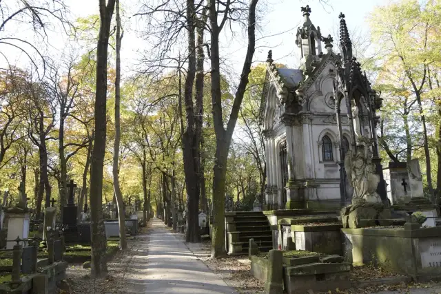 Wólka Przybójewska: Najciekawsze atrakcje turystyczne w Wólce