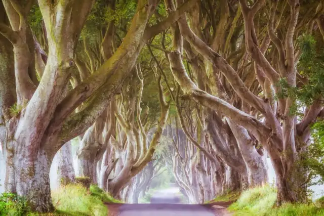 Niezapomniane atrakcje w Irlandii Północnej, które musisz zobaczyć