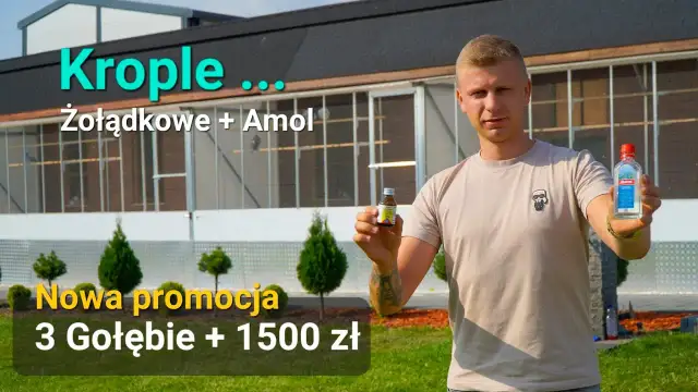 Krople żołądkowe dla gołębi: Pełny poradnik dawkowanie i błędy.