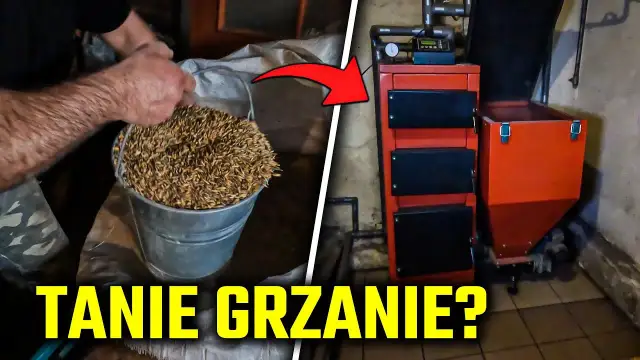 Jakie zboże do palenia? Odkryj najlepsze opcje i ich właściwości