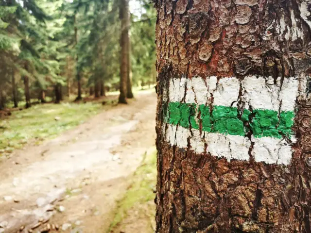 Szlak żółty co oznacza i jak prowadzi do ciekawych miejsc