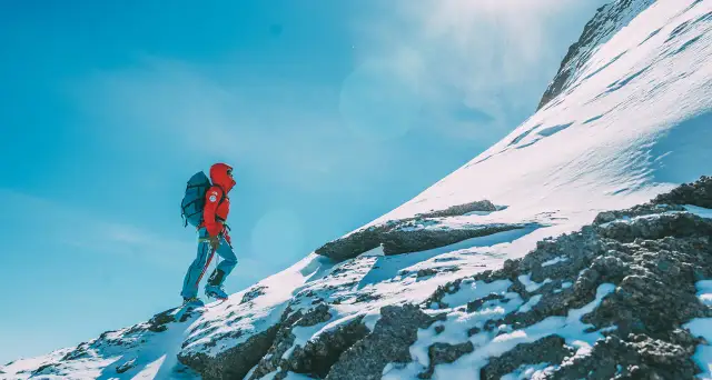 Raki automatyczne czy koszykowe - który wybór zapewni lepszą bezpieczeństwo?