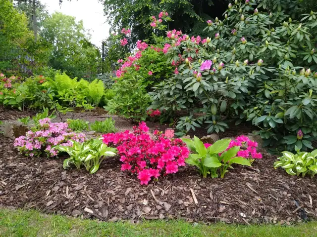 Jakie nawozy na kwitnienie zapewnią piękne i zdrowe kwiaty?