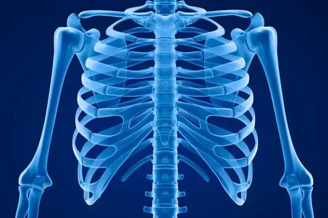 Wyrostek mieczykowaty – jakiego lekarza szukać przy bólu?