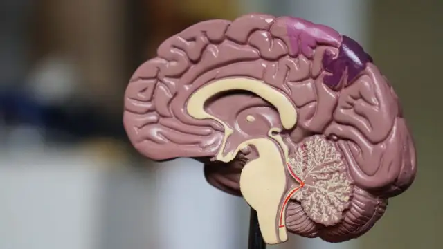 Mózg jak mięsień: Jak się rozwijać umysłowo i być bystrzejszym?