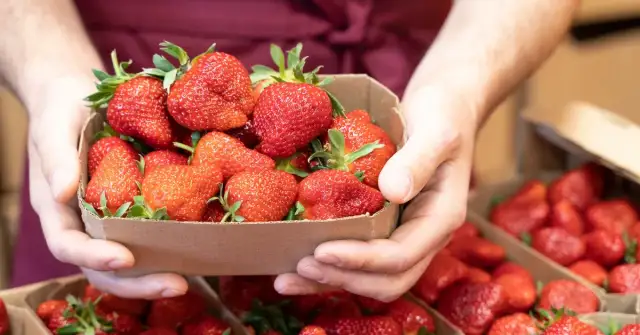 Do kiedy sezon na truskawki? Sprawdź, kiedy stracisz świeże owoce