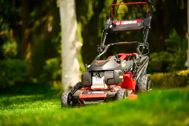 Ile oleju do kosiarki Stiga? Typ, pojemność, wymiana. Silnik bez awarii!