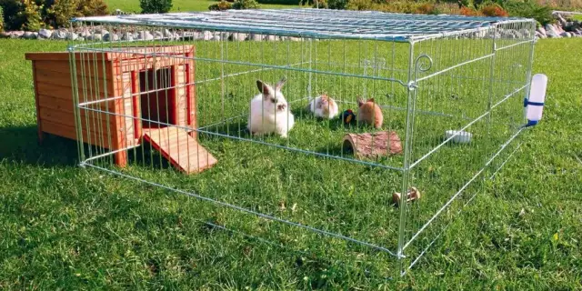 Jak prawidłowo wyścielić klatkę dla królika - praktyczne porady hodowców