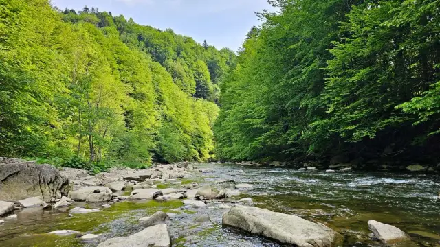 Rezerwat przyrody Sine Wiry - Odkryj ukryte skarby Bieszczad