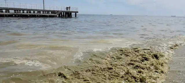 Bałtyk: temperatura wody, upwelling i sinice. Co musisz wiedzieć?