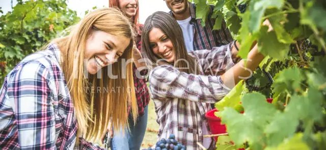 Języki przyszłości: Które wybrać, by zarabiać więcej i podróżować?