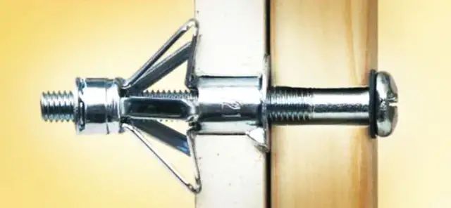 Kołek Molly: Usuń go bez śladu! Praktyczny poradnik.