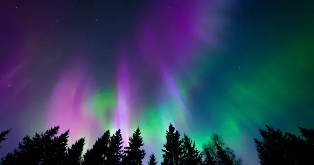 Zorza polarna: jak powstaje, co oznaczają kolory i czy zobaczysz ją w Polsce?