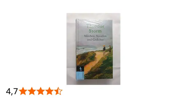 Buchcover von Theodor Storms "Märchen, Novellen und Gedichte" mit Küstenlandschaft und zwei Figuren.