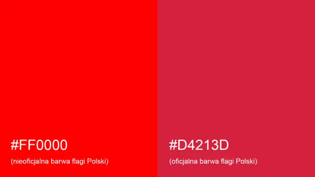 Jak wygląda flaga Polski? Kolory, proporcje i ich znaczenie