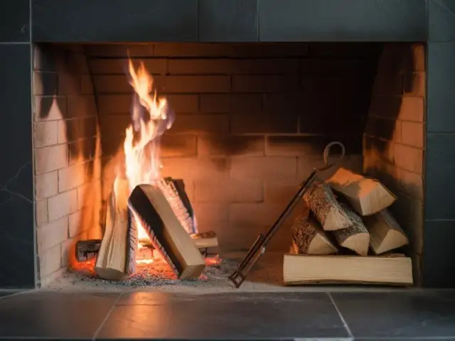 Czy topola nadaje się do kominka? Odkryj jej wady i zalety