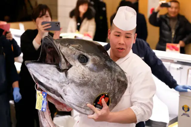 Najdroższa ryba na świecie – zaskakujące ceny i tajemnice tuńczyka