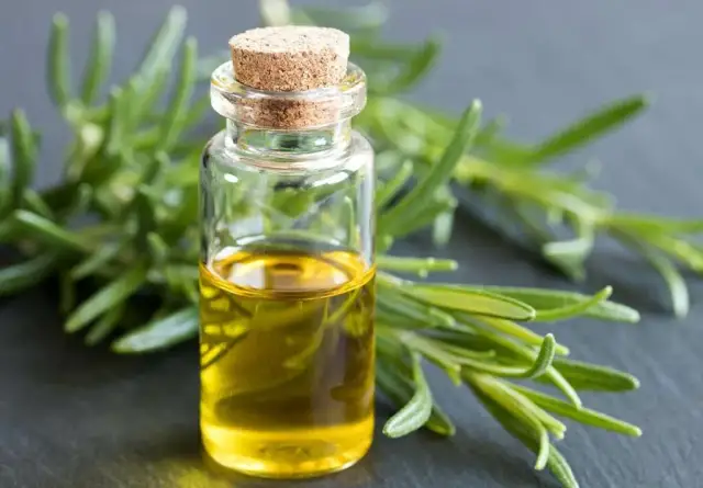 Jak zrobić olejek rozmarynowy w domu - proste i skuteczne metody