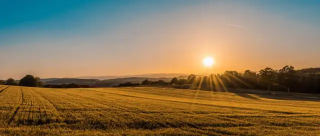 Zagroda edukacyjna: Jak założyć i sfinansować Twój wiejski biznes?