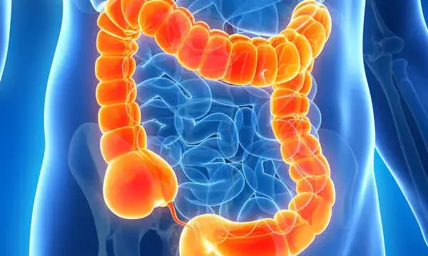 Przeszczep jelit: co warto wiedzieć przed zabiegiem?