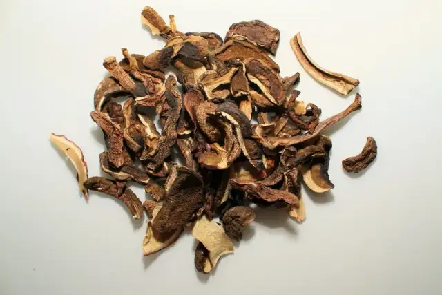 Czy można suszyć kanie? Obalamy te popularne mity o grzybach!