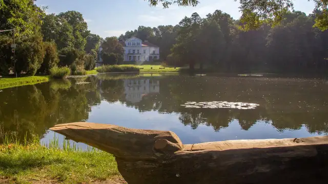 Złoty Potok: Co zobaczyć na Jurze? Atrakcje, historia i pstrąg