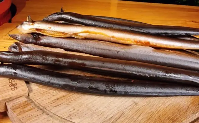 Solanka do węgorza: przepis na idealne wędzenie bez błędów