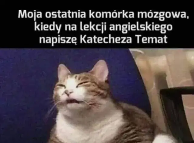Najlepsze memy ale jaja, które rozbawią cię do łez