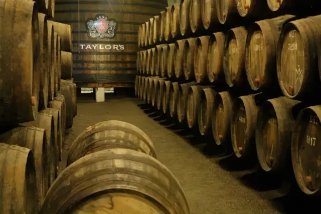 Sótano en portugués: ¿Porão, Cave o Adega? Guía completa