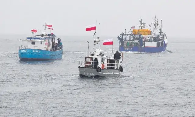 Kiedy można łowić dorsza na Bałtyku? Sprawdź ważne terminy i zasady