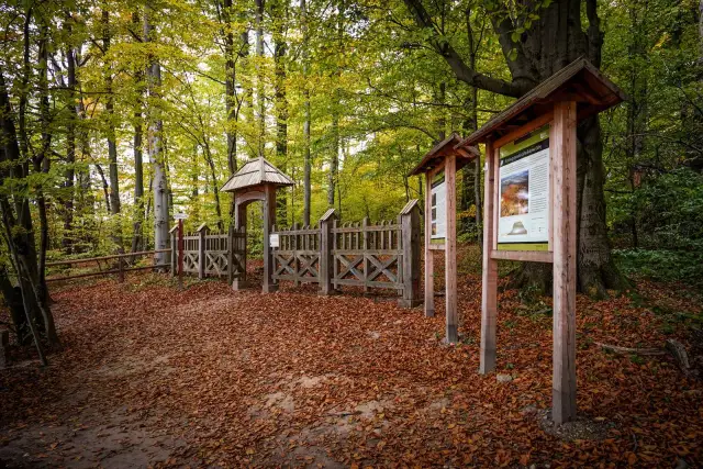 Zwierzyniec atrakcje turystyczne – nie przegap tych wyjątkowych miejsc