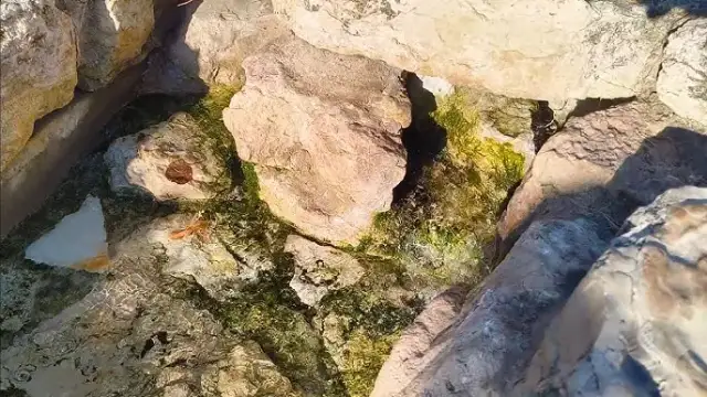 Skąd wypływa rzeka Warta? Odkryj jej tajemnicze źródła w Kromołowie