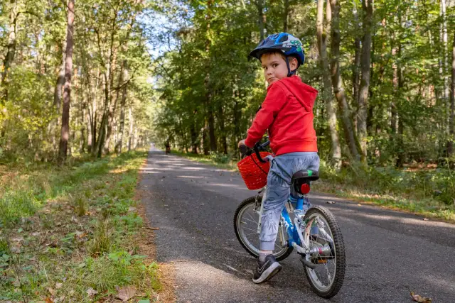 Puszcza Niepołomicka rowerem: Trasy, atrakcje i praktyczny przewodnik