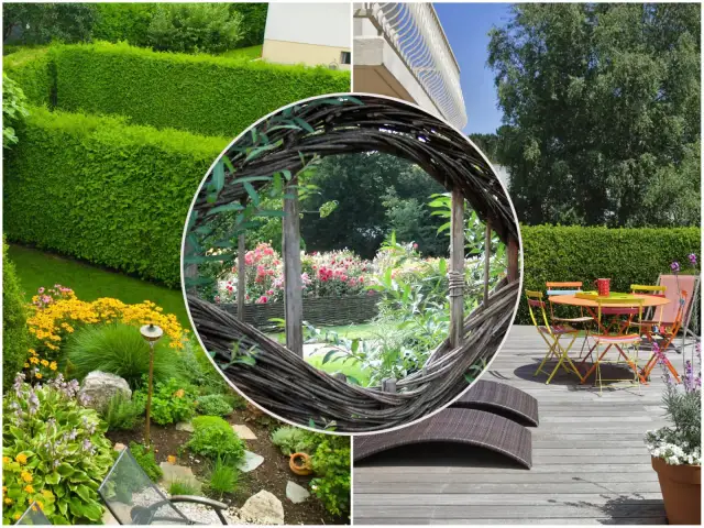 Jak odsłonić się od sąsiada w ogrodzie: 5 skutecznych sposobów