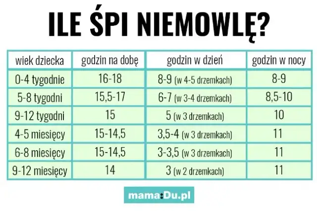Twój dwumiesięczny szczeniak to śpioch? Ile snu jest normą?