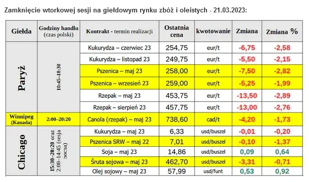 Po ile rzepak w skupie? Sprawdź aktualne ceny i prognozy rynku