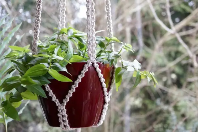 Jak zrobić kwietnik kokon z makramy - prosty sposób na dekorację