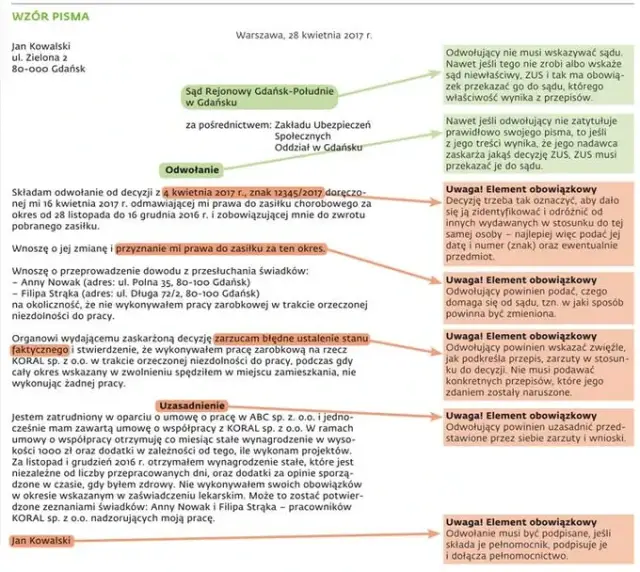 Orzeczenie ZUS: Co dalej? Twój przewodnik po odwołaniu i prawach