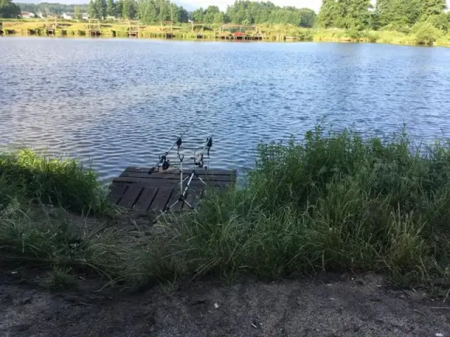 Łowisko Rokitnica: Cennik, zasady, ryby. Wszystko przed wizytą!